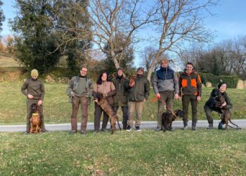 Cani da traccia in Toscana, la cinofilia come chiave per il rinnovamento