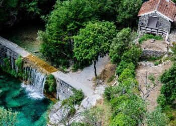 Liguria, nel Parco dell’Aveto depopolamento dei cinghiali per fronteggiare la PSA