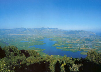 Parco dei Monti Ausoni e Lago di Fondi: al via campagna di monitoraggio della fauna selvatica