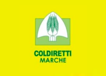 Risarcimento danni da fauna selvatica, il plauso di Coldiretti Marche