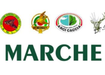 Marche: Arci Caccia, ANLC, EPS ed Enalcaccia contro lo Statuto Unico Regionale degli ATC