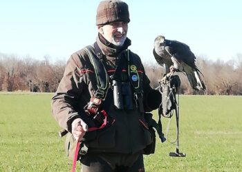 Friuli Venezia Giulia, a Cormons un riuscito raduno di falconeria