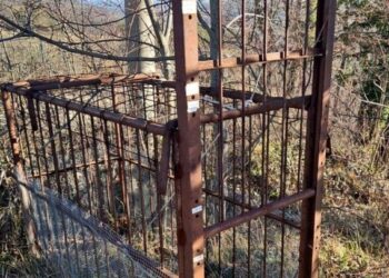 San Ginesio (Macerata), sequestrata trappola illegale per la cattura dei cinghiali
