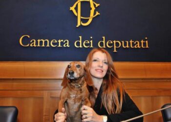 Inchiesta Report su Michela Brambilla, FIDC Brescia: “Abbiamo solo una profonda tristezza”