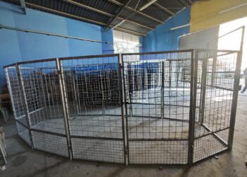 Parco delle Madonie. Collesano, approvata la convenzione per il supporto e la collaborazione nella gestione della fauna selvatica