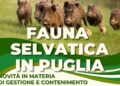 Il 20 febbraio gli Stati Generali del contrasto all’emergenza fauna selvatica in Puglia