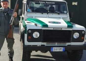 Stagione venatoria 2024-2025, il bilancio della Polizia Provinciale di Ferrara