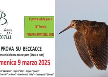 Ceresole d’Alba, il Trofeo Tenuta Bonicelli 2025 inizia all’insegna della beccaccia