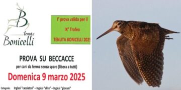 Ceresole d'Alba, the Tenuta Bonicelli Trophy 2025 begins under the banner of woodcock