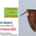 Ceresole d’Alba, il Trofeo Tenuta Bonicelli 2025 inizia all’insegna della beccaccia