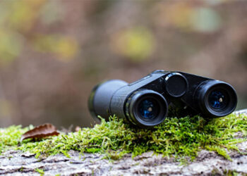 Con l’innovazione digitale anche la caccia si evolve