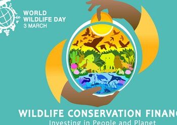 Il 3 marzo sarà la Giornata Mondiale della Fauna Selvatica