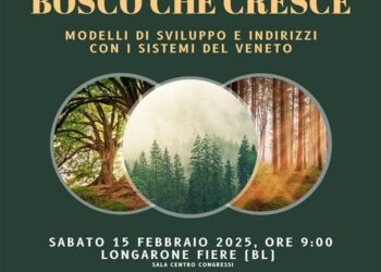 L’Italia in un bosco che cresce: strategie e modelli di sviluppo per la gestione forestale del Veneto