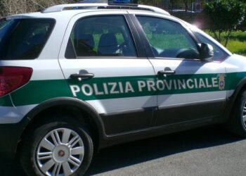 Regione Umbria, focus sulle Polizie provinciali nel settore faunistico-venatorio