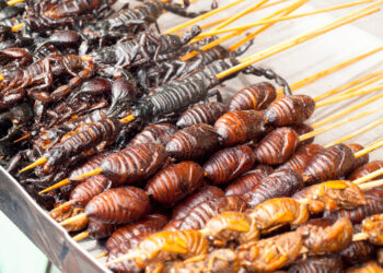 Insetti a tavola? Non certo in Italia: le importazioni sono crollate del 30%