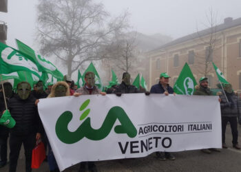 CIA Veneto chiede un piano integrato per contrastare l’influenza aviaria