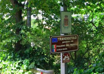 Peste suina africana: rimosse le misure di restrizione in tre comuni del Parmense