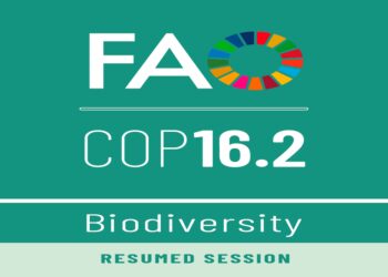 Conclusa la COP16.2, la Conferenza delle Nazioni Unite sulla biodiversità