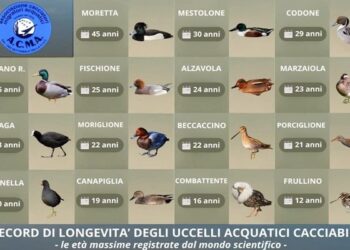 ACMA: “Lo sai quanti anni possono avere gli uccelli acquatici?”