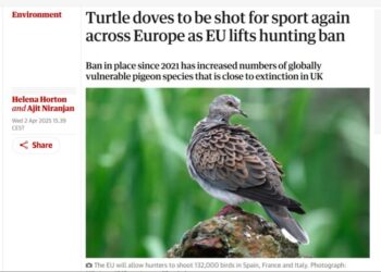 Tortora, il presidente FIDC Buconi sul prestigioso quotidiano “The Guardian”