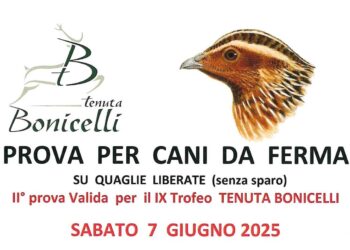 Trofeo Tenuta Bonicelli, la 9ª edizione concede il “bis” con una prova su quaglie liberate