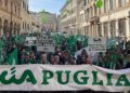 CIA Puglia: “Provvedimenti storici su pozzi, oleoturismo e cinghiali”