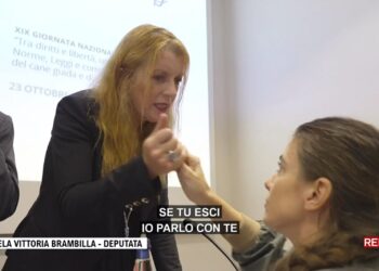 Report torna a puntare il dito contro Michela Brambilla