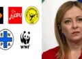 LAV-ENPA-LAC-LIPU-WWF: “Giorgia Meloni dichiara guerra agli animali selvatici”