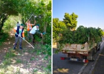 Paladini del Territorio in azione tra Borgosatollo, Castenedolo e Montirone (Brescia)
