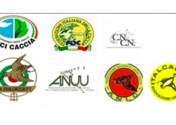 Riforma Legge 157/92, Cabina di Regia: “Bisogna fermare le falsità ideologiche”