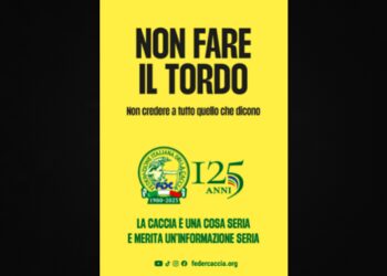 FIDC risponde alle fake news: “Non fare il tordo, non credere a tutto quello che dicono”