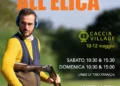 Sfida all’Elica Franchi: solo i più veloci, solo i più precisi. Tu ci sarai?