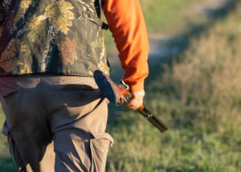 Accessi agli ATC in Campania, le associazioni venatorie scrivono all’assessore Caputo