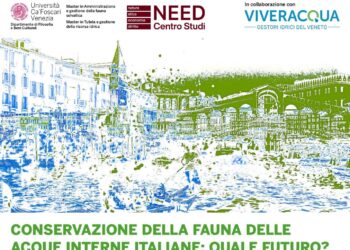 Quale futuro per la conservazione della fauna nelle acque interne? Se ne parla alla Ca’ Foscari