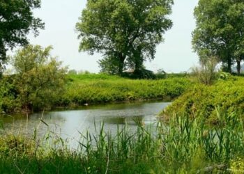 Fiumicino, ultimata parte legislativa per gestione Riserva Naturale Statale del Litorale Romano