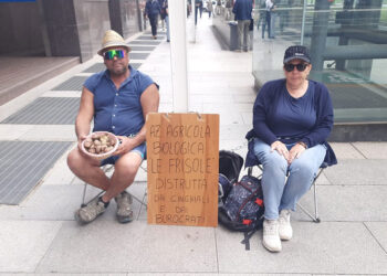 Titolari di azienda agricola si incatenano di fronte alla Provincia di Torino per colpa dei cinghiali