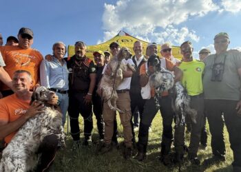 Campo Felice, un decennio di cinofilia d’eccellenza