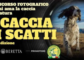 Al via la terza edizione di “A caccia di scatti”, il concorso fotografico per chi ama la caccia e la natura
