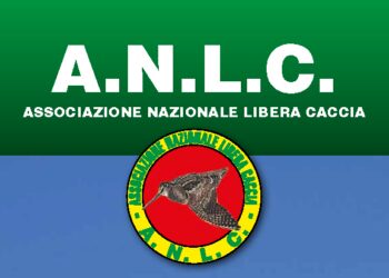 Libera Caccia: “Su piccioni torraioli e tortore dal collare ci stanno prendendo in giro”