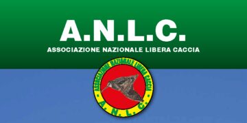 Libera Caccia: “Su piccioni torraioli e tortore dal collare ci stanno prendendo in giro”