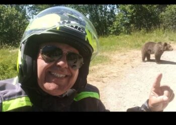 Motociclista italiano ucciso da orso in Romania: si era fermato a fotografarlo