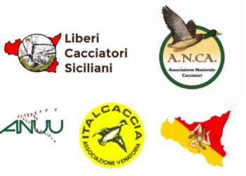 Per la prima volta dopo 10 anni il calendario venatorio della Sicilia non è stato impugnato