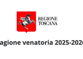 Caccia in Toscana, scaduti i termini per un ricorso sul Calendario Venatorio