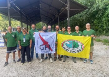 Un grande successo la prima Falconery Expo di Viadana (Mantova)