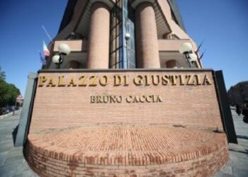 Gestione “allegra” dei risarcimenti per i danni dei cinghiali, la Procura di Torino apre un’inchiesta