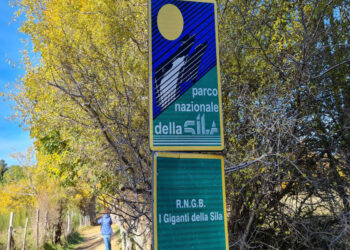 Calabria e ZPS, il controverso differimento dell’apertura della caccia al 1° novembre