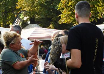 Un successo la storica sagra di Almenno San Salvatore