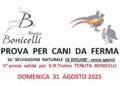 Chiusura con i fiocchi per la nona edizione del Trofeo Tenuta Bonicelli