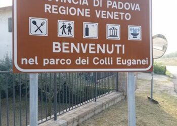 All’Ente Parco Colli Euganei 300mila euro per il contenimento del cinghiale