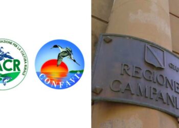Quante incertezze e burocrazie per i cacciatori campani: CONFAVI e ACR scrivono alla Regione
